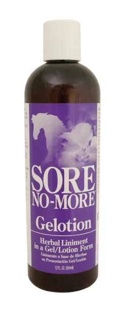 Arenus® Sore No-More® Classic Gelotion
