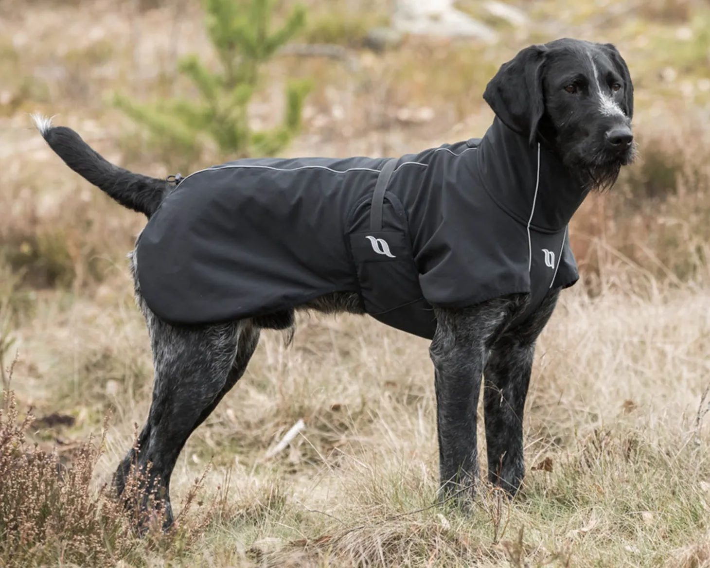 Back on Track® Bark Large Dog Coat