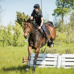 Back on Track® Deep Nights Brush Boots