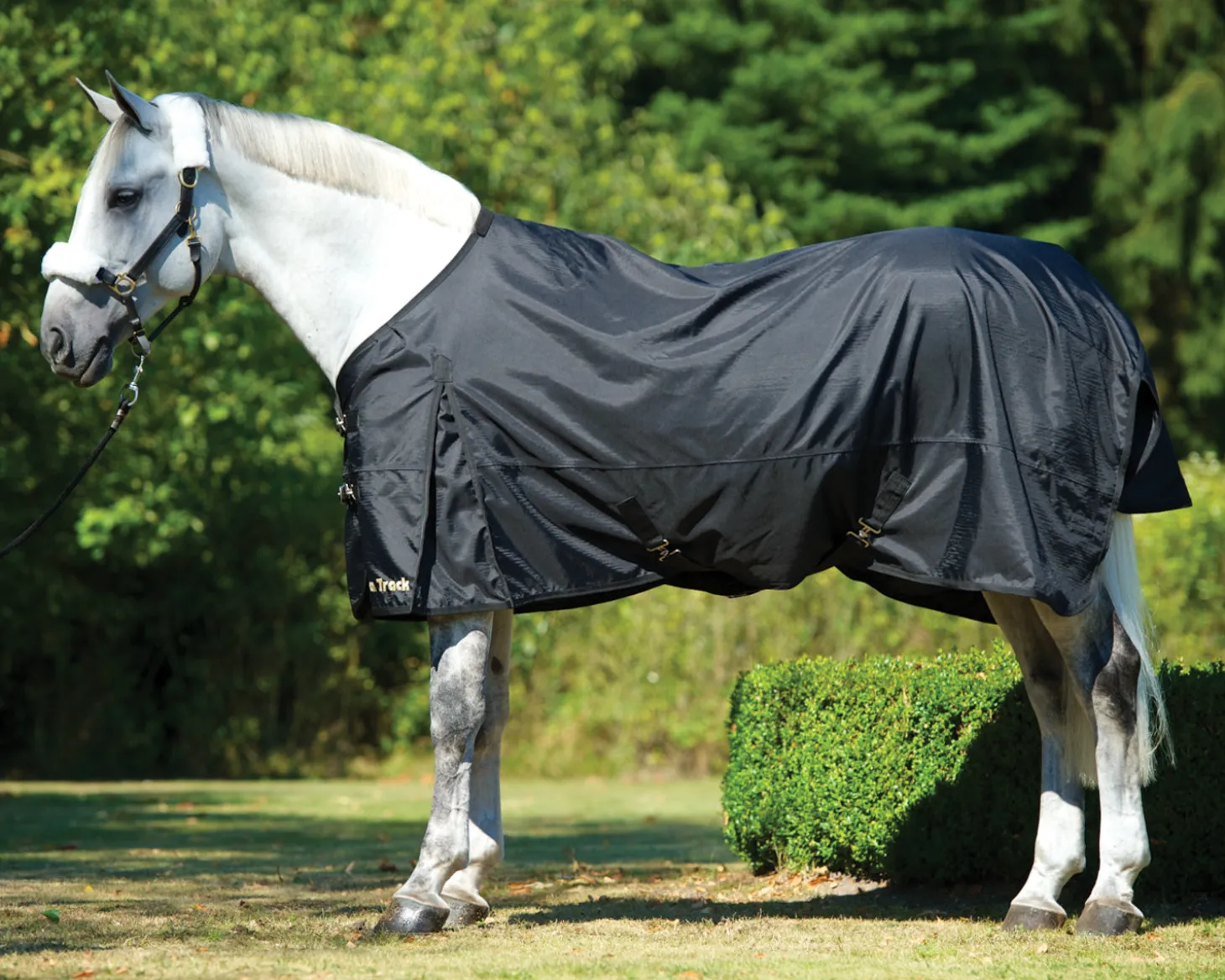 Back on Track® Equine Turnout Sheet