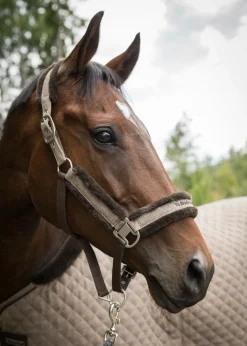 Back on Track® Haze Collection Halter