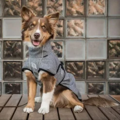 Back on Track® Nella Large Dog Coat