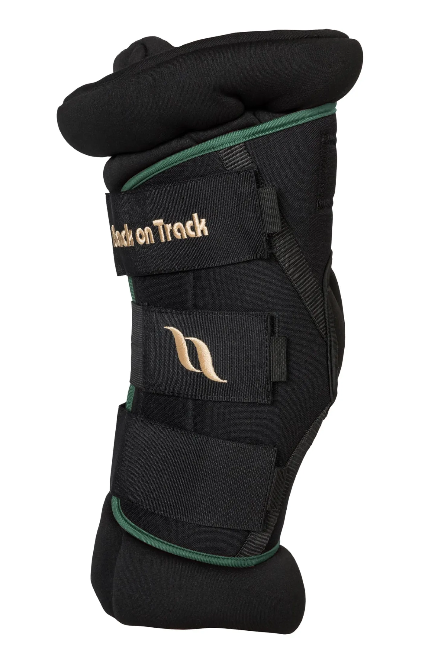 Back on Track® Royal Padded Hock Boots Deluxe