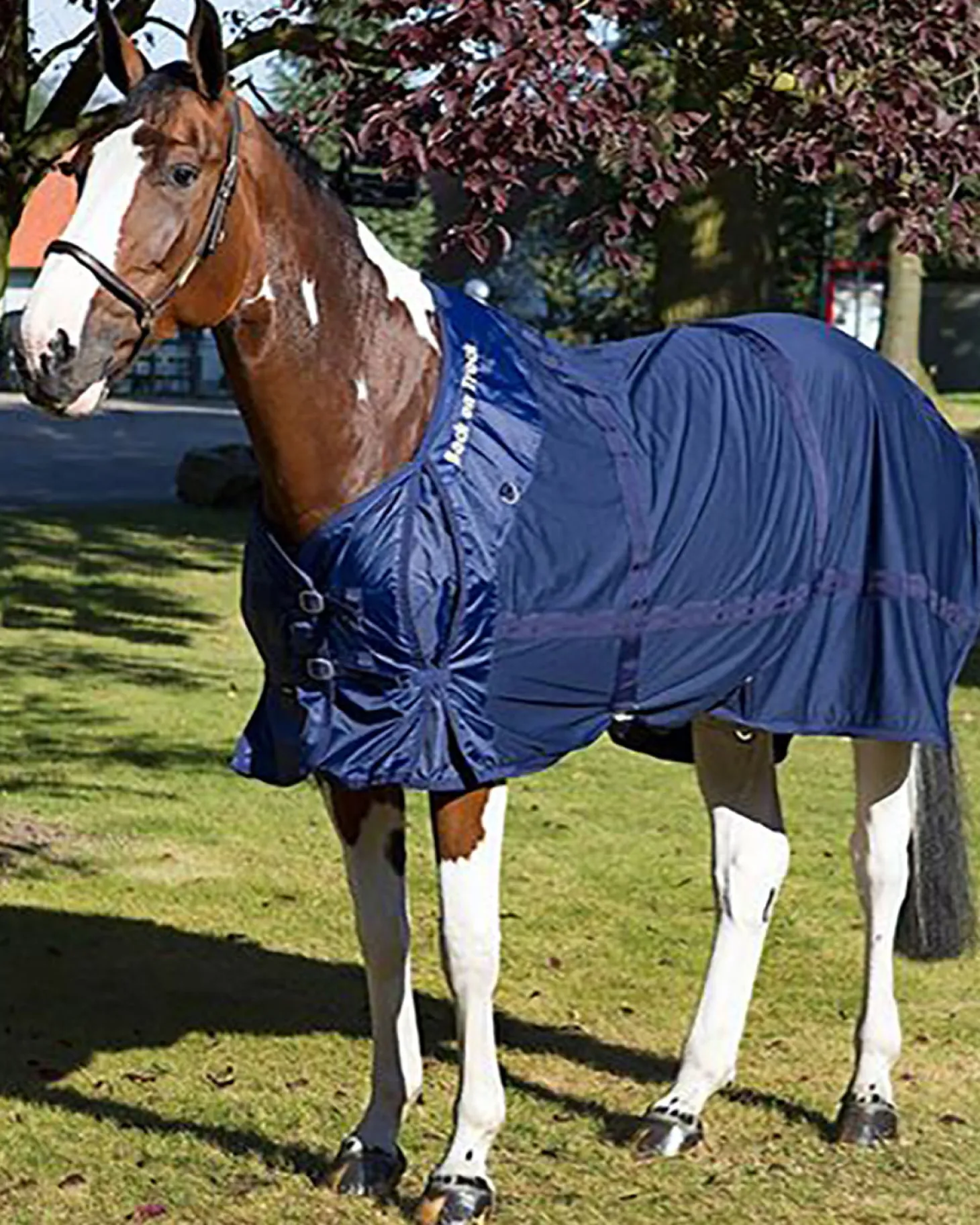 Back on Track® Therapeutic Mesh Horse Sheet