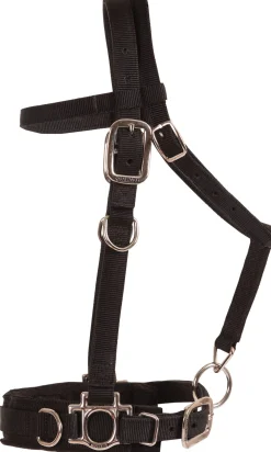 Balance Complete Training System