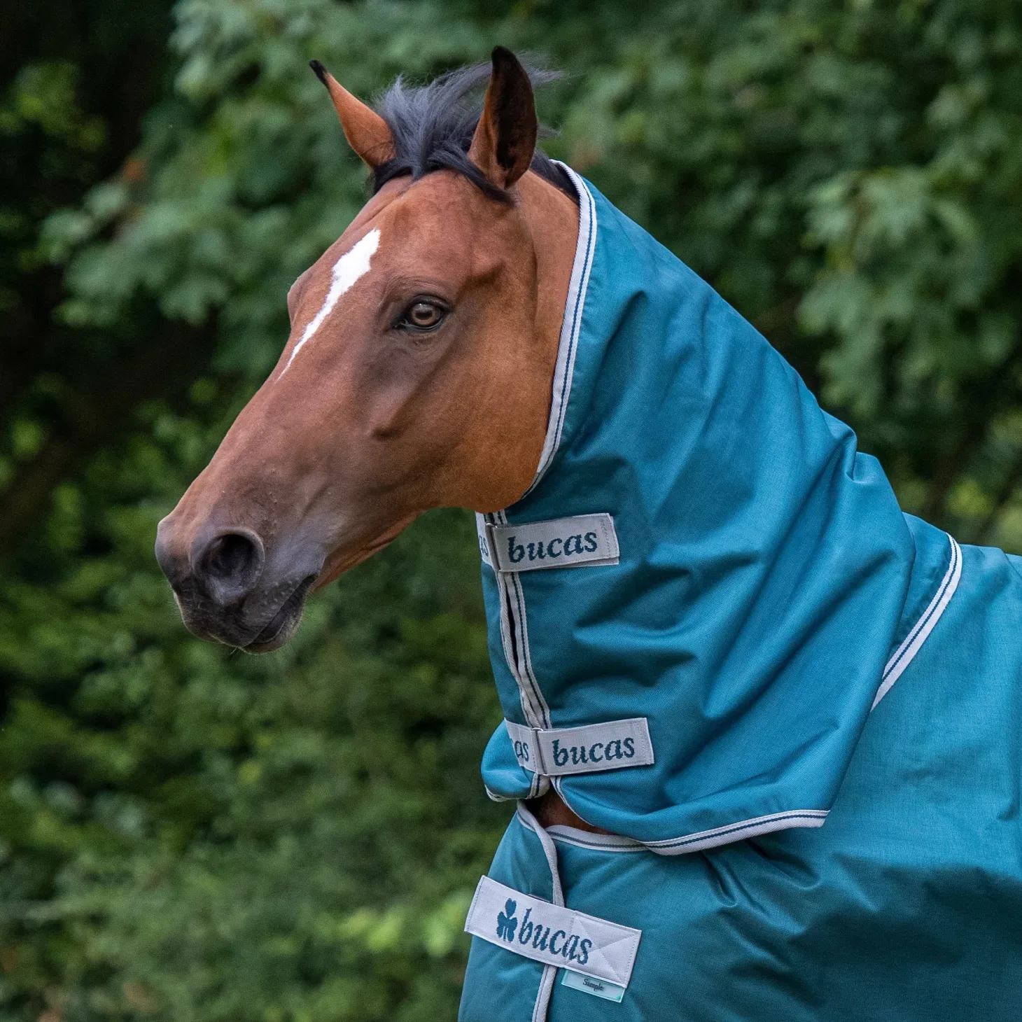 Bucas Atlantic 200 Gram Turnout Blanket