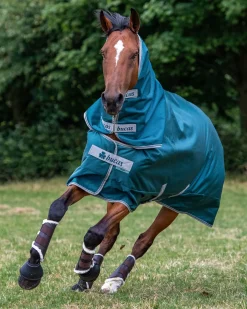 Bucas Atlantic Combi Neck Cover - 50 Grams