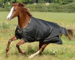 Bucas Irish Classic Lightweight Turnout Blanket