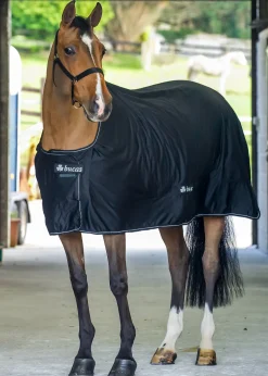 Bucas Shamrock Power Cooler