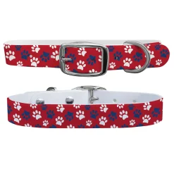 C4 Dog Collar