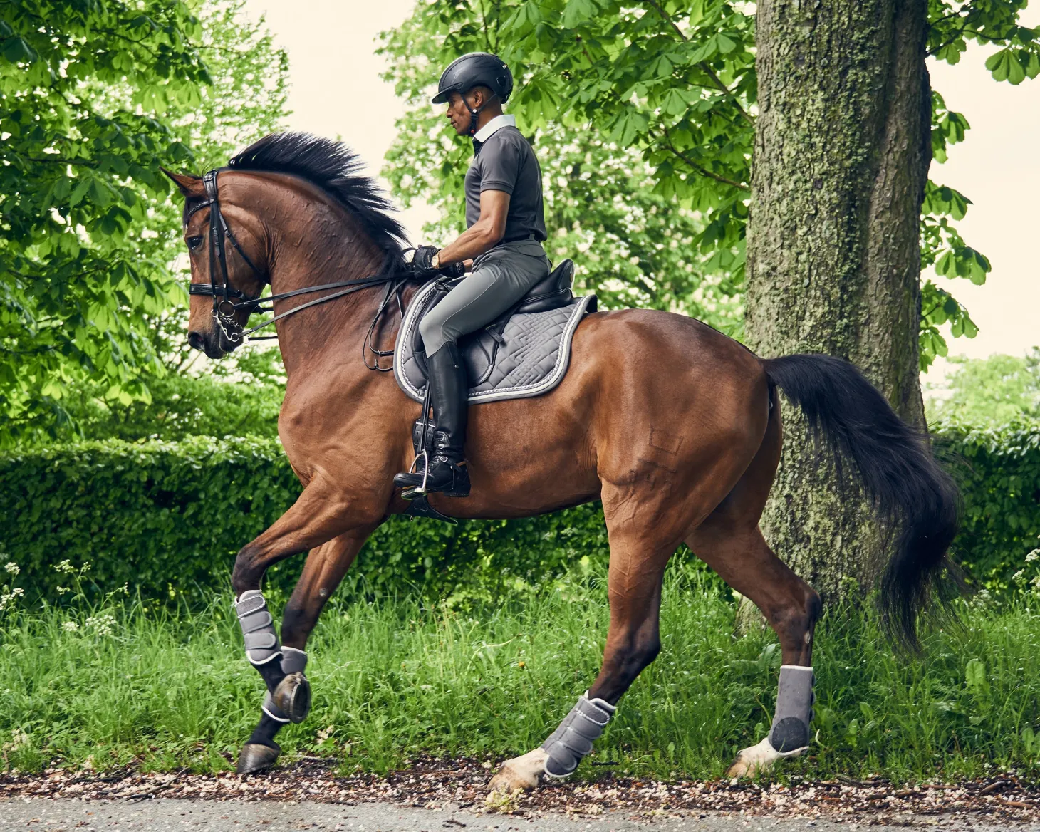 Catago® Diamond Dressage Pad