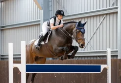 Charles Owen Adults’ Shadow Back Protector