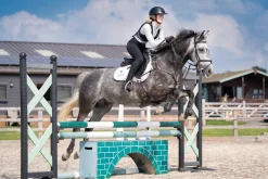 Charles Owen Adults’ Shadow Back Protector