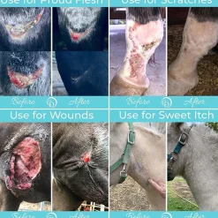 Coat Defense® Trouble Spot Drying Paste