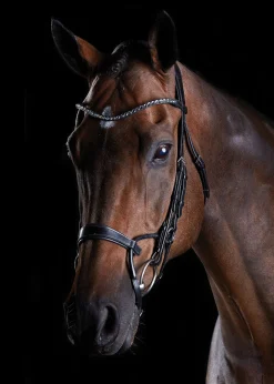 Collegiate® ComFiTec™ Crystal Bridle