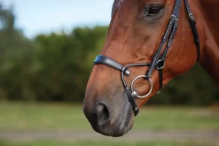 Collegiate® ComFiTec™ Training Bridle