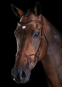 Collegiate® ComFiTec™ Training Bridle
