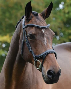 Collegiate® ComFiTec™ Vogue Anatomic Bridle