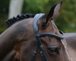 Collegiate® ComFiTec™ Vogue Anatomic Bridle