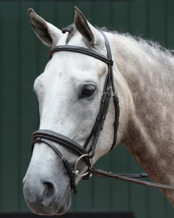 Collegiate® Essential Padded Raised Fancy-Stitched Flash Bridle
