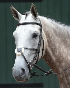 Collegiate® Essential Padded Raised Figure-8 Bridle