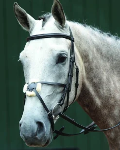 Collegiate® Essential Padded Raised Figure-8 Bridle