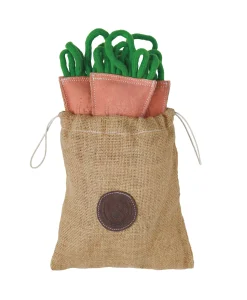 Dover Dog Carrot Bunch Dog Toy