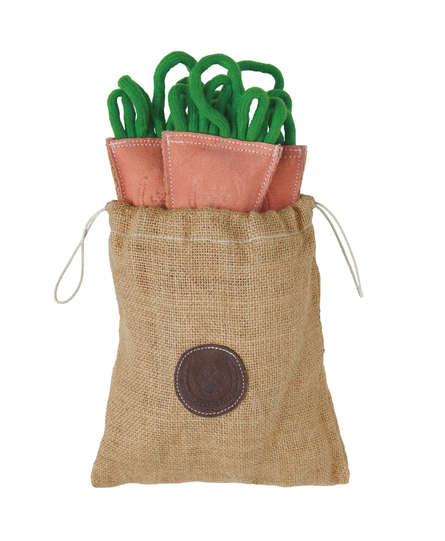 Dover Dog Carrot Bunch Dog Toy