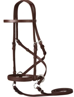 Dr. Cook's Beta BitlessBridle™