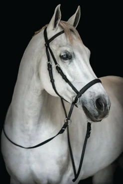 Dr. Cook's Beta BitlessBridle™