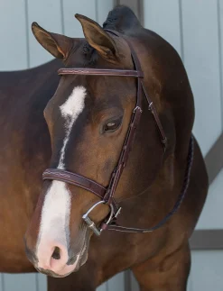 DS Classic Derby Bridle