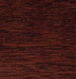 DS Large Hardwood Trunk