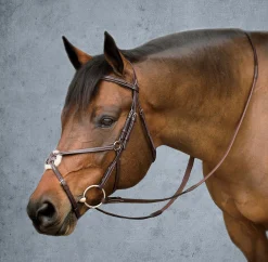 DS Premier Figure-8 Bridle