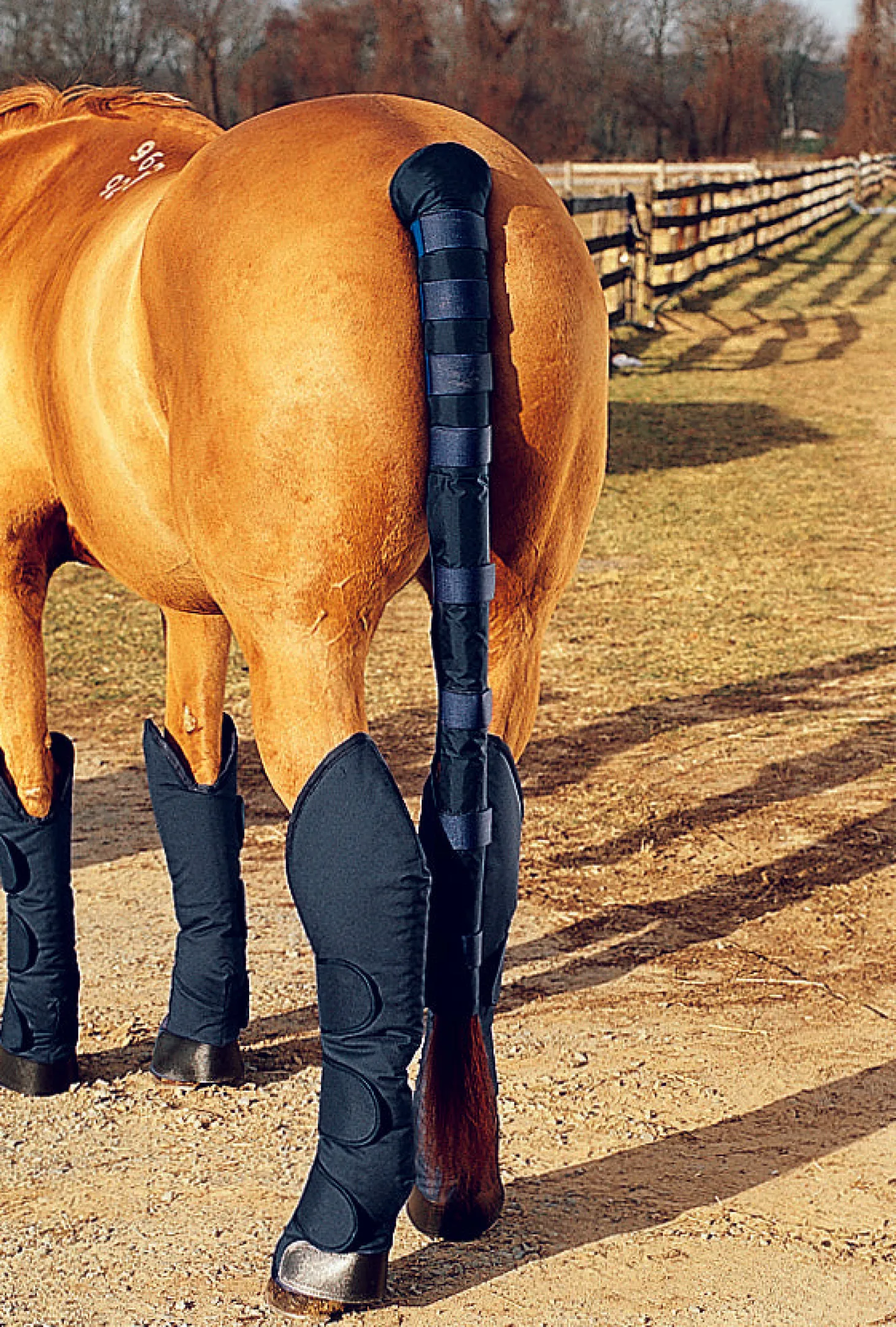 DS Pro Padded Tail Wrap & Bag Combo