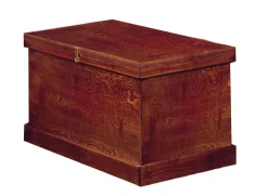 DS Standard Show Trunk