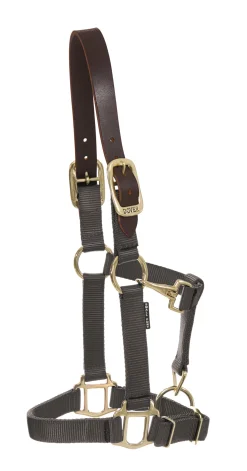 DS Heavy Nylon Breakaway Halter