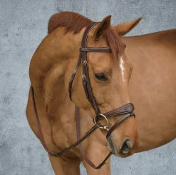 Dy'on® Rubber Reins