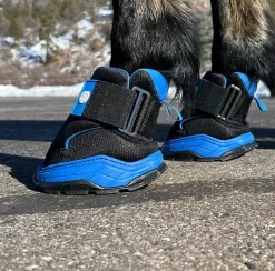 EasyCare Easyboot Rx2