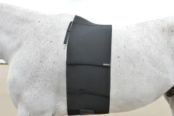 EquiFit® BellyBand™