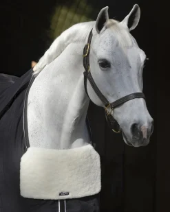 EquiFit® BlanketBib