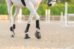 EquiFit® Essential EveryDay Front Boot