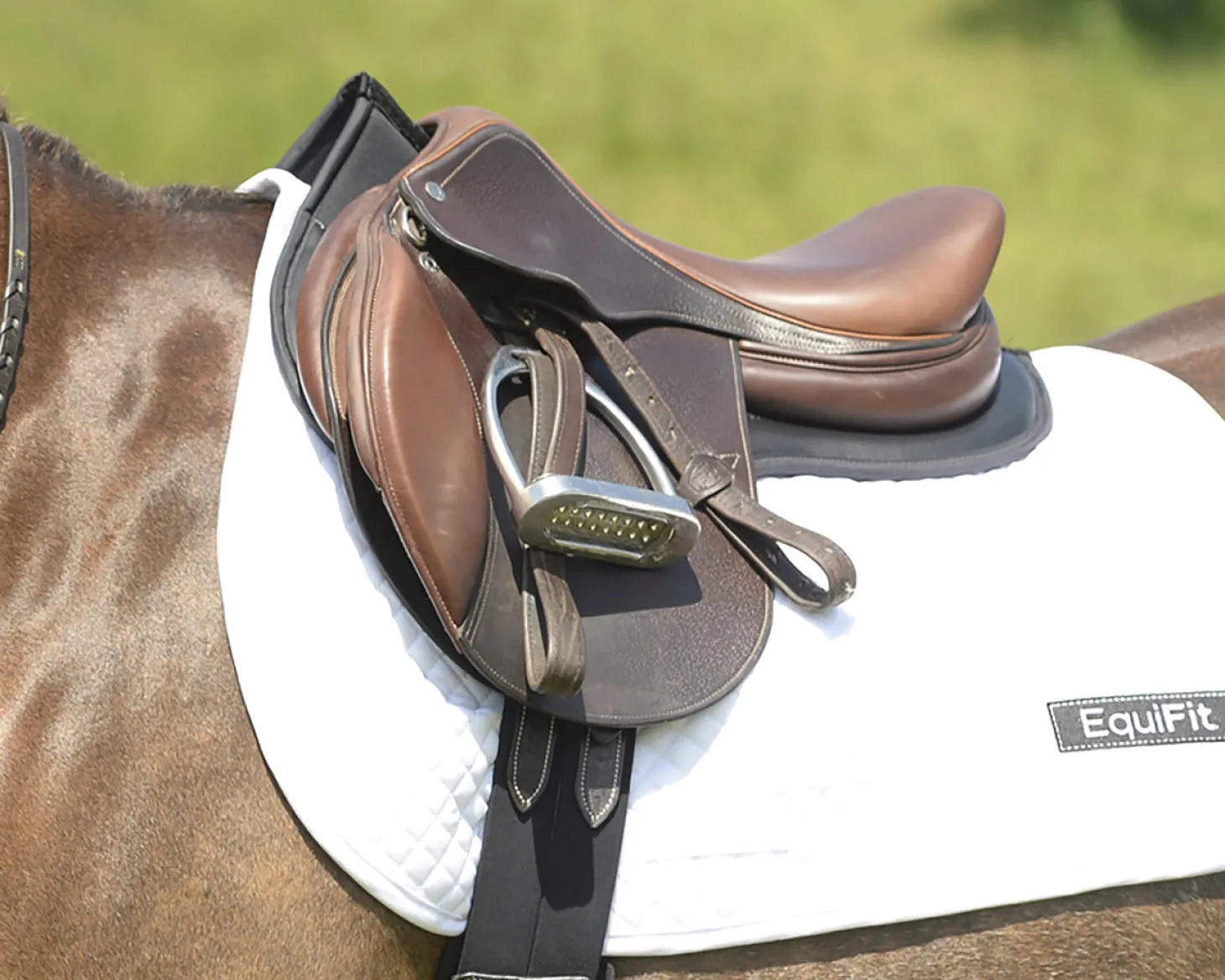 EquiFit® Pony ImpacTeq Contour Half Pad with Colored Trim