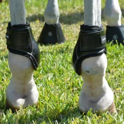 EquiFit® Young Horse Boots with ImpacTeq®