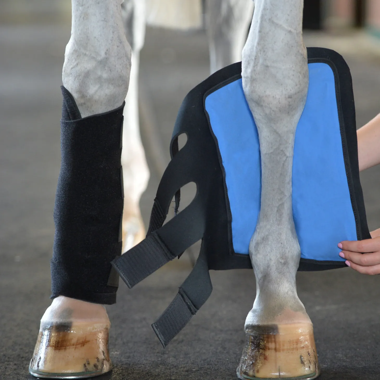 EquiFit®Essential Cold Therapy Tendon Boots