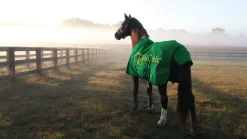 EquiOtic™ Daily Packets-30 day