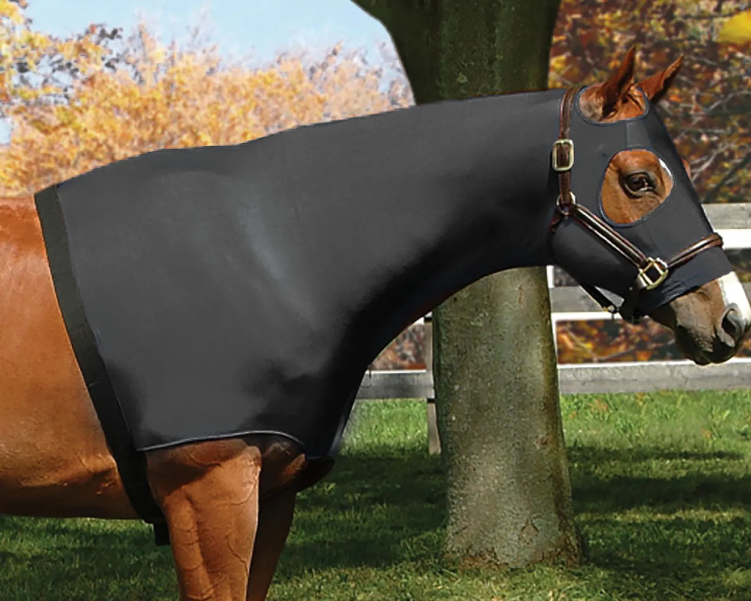 Flex Rider® Stretchies™ Hood