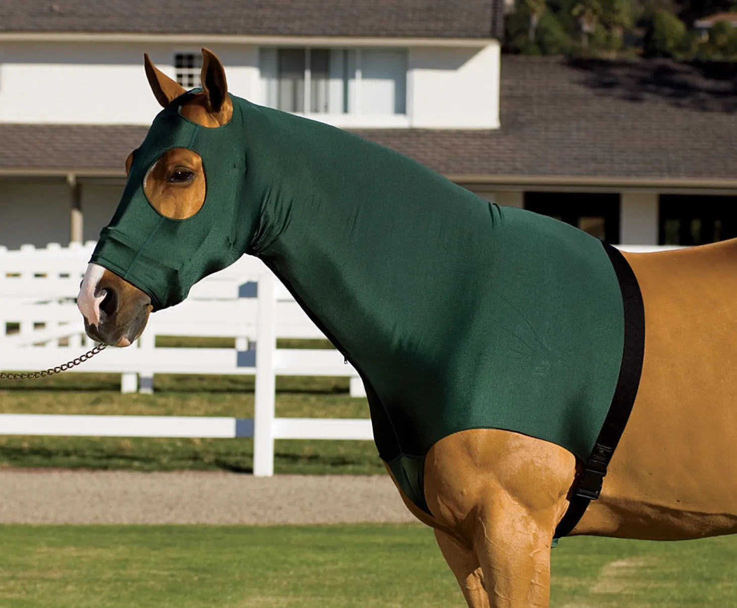 Flex Rider® Stretchies™ Hood