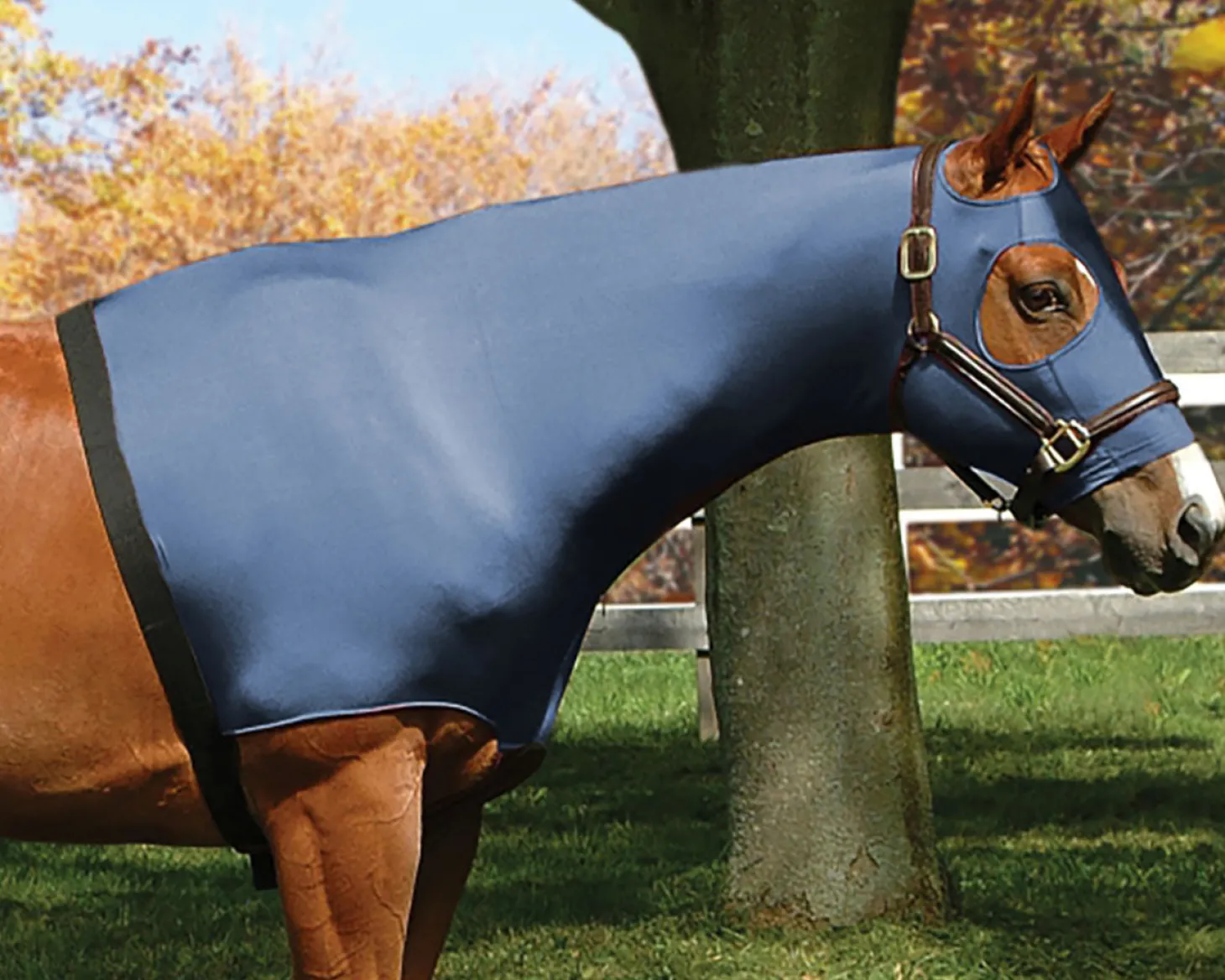 Flex Rider® Stretchies™ Hood