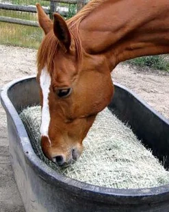 Freedom Feeder Full Bale Net