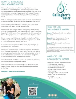 Gallagher’s Water™ All-Natural Equine Hydration Beverage NO SUGAR ADDED